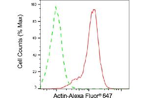 Flow cytometric analysis of Actin expression in HepG2 cells using Actin antibody (ABIN7797469), 1:2,000). (beta Actin anticorps)