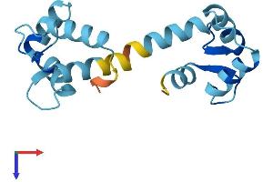 AlphaFold protein structure predicition of Mouse Recombinant Calml3 Protein, UniprotID Q9D6P8