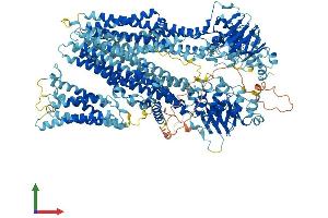 AlphaFold protein structure predicition of Mouse Recombinant Abcc1 Protein, UniprotID O35379
