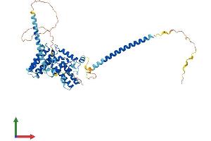 AlphaFold protein structure predicition of Mouse Recombinant Rabgef1 Protein, UniprotID Q9JM13