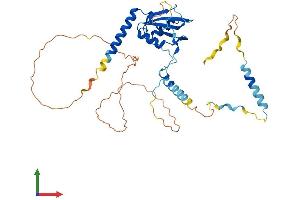 AlphaFold protein structure predicition of Mouse Recombinant Rbm48 Protein, UniprotID Q8K2X2