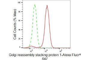 Flow cytometric analysis of Golgi reassembly stacking protein 1 expression in HeLa cells using Golgi reassembly stacking protein 1 antibody (ABIN7798795), 1:2,000). (Recombinant GORASP1 anticorps)