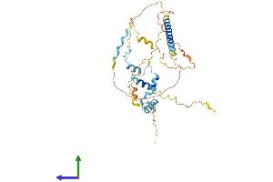 AlphaFold protein structure predicition of Mouse Recombinant Mtfr2 Protein, UniprotID Q8VED8