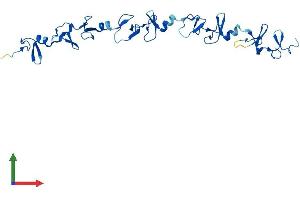 AlphaFold protein structure predicition of Human Recombinant FHL2 Protein, UniprotID Q14192