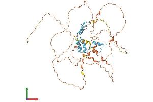 AlphaFold protein structure predicition of Human Recombinant KLF4 Protein, UniprotID O43474