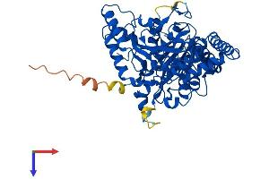 AlphaFold protein structure predicition of Human Recombinant QRSL1 Protein, UniprotID Q9H0R6