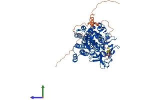 AlphaFold protein structure predicition of Human Recombinant SETD3 Protein, UniprotID Q86TU7