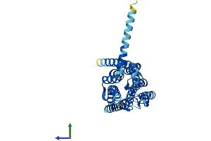 AlphaFold protein structure predicition of Mouse Recombinant Adora3 Protein, UniprotID Q61618