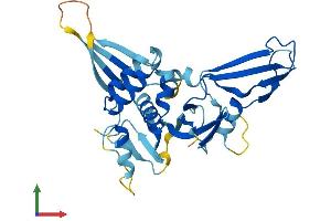 AlphaFold protein structure predicition of Human Recombinant C14orf28 Protein, UniprotID Q4W4Y0