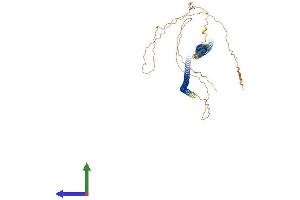 AlphaFold protein structure predicition of Mouse Recombinant Krt6b Protein, UniprotID Q9Z331