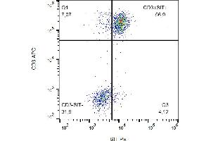 Flow cytometry analysis (intracellular staining) of human peripheral blood using anti-SIT (clone SIT-01) PE. (SIT1 anticorps  (PE))
