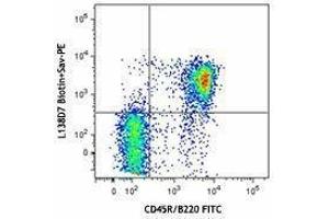 Flow Cytometry (FACS) image for anti-Chemokine (C-X-C Motif) Receptor 5 (CXCR5) antibody (Biotin) (ABIN2660750)