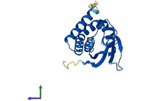 AlphaFold protein structure predicition of Human Recombinant TRAPPC3 Protein, UniprotID O43617