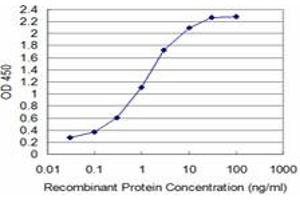 Detection limit for recombinant GST tagged T is approximately 0. (T Brachyury Protein (AA 222-320) anticorps)