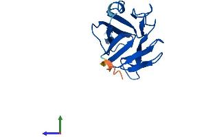 AlphaFold protein structure predicition of Mouse Recombinant Tifab Protein, UniprotID Q8JZM6