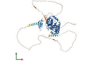AlphaFold protein structure predicition of Mouse Recombinant Cdyl Protein, UniprotID Q9WTK2