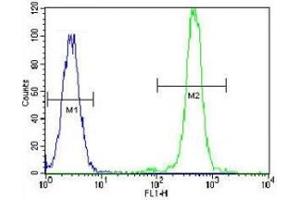 FASN antibody flow cytometric analysis of HeLa cells (green) compared to a negative control (blue).