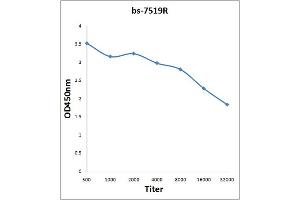 Antigen: 2 µg/100 µL  Primary: Antiserum, 1:500, 1:1000, 1:2000, 1:4000, 1:8000, 1:16000, 1:32000;  Secondary: HRP conjugated Rabbit Anti-Goat IgG at 1: 5000;  TMB staining Read the data in Microplate Reader by 450nm.