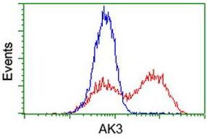 HEK293T cells transfected with either RC204408 overexpress plasmid (Red) or empty vector control plasmid (Blue) were immunostained by anti-AK3 antibody (ABIN2453882), and then analyzed by flow cytometry. (Adenylate Kinase 3 anticorps)