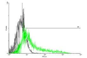 FACS analysis of negative control 293 cells (Black) and IL1R1 expressing 293 cells (Green) using IL1R1 purified MaxPab mouse polyclonal antibody.
