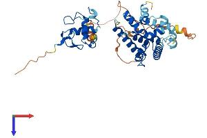 AlphaFold protein structure predicition of Human Recombinant NR2E1 Protein, UniprotID Q9Y466