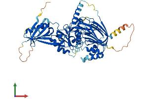 AlphaFold protein structure predicition of Mouse Recombinant Cerk Protein, UniprotID Q8K4Q7