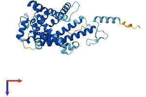 AlphaFold protein structure predicition of Human Recombinant SLC25A43 Protein, UniprotID Q8WUT9