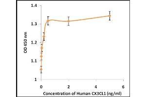 Activity Assay (AcA) image for Chemokine (C-X3-C Motif) Ligand 1 (CX3CL1) (Active) protein (ABIN5509500) (CX3CL1 Protéine)