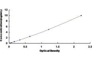 Typical standard curve (DNMT1 Kit ELISA)