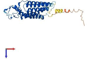 AlphaFold protein structure predicition of Human Recombinant PLPP2 Protein, UniprotID O43688