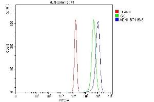 Flow Cytometry analysis of U20S cells using anti-ADH1A antibody (ABIN4886427). (ADH1A anticorps  (AA 213-375))