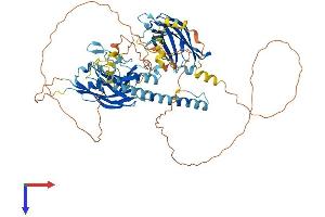 AlphaFold protein structure predicition of Human Recombinant SYTL4 Protein, UniprotID Q96C24