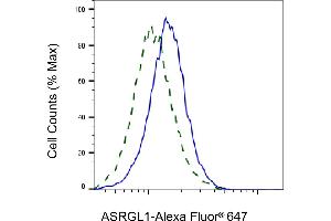 Flow cytometric analysis of ASRGL1 expression in HeLa cells using ASRGL1 antibody (ABIN7797660), 1:2,000). (ASRGL1 anticorps)