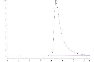 The purity of Human TRAIL R2 is greater than 95 % as determined by SEC-HPLC.