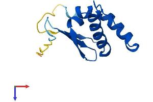 AlphaFold protein structure predicition of Mouse Recombinant Eloc Protein, UniprotID P83940
