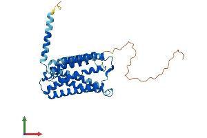 AlphaFold protein structure predicition of Mouse Recombinant Elovl4 Protein, UniprotID Q9EQC4
