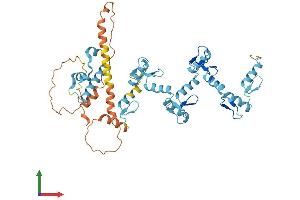 AlphaFold protein structure predicition of Human Recombinant ZNF486 Protein, UniprotID Q96H40