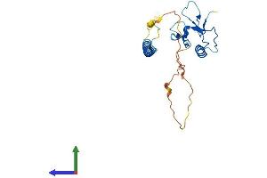 AlphaFold protein structure predicition of Mouse Recombinant Thap3 Protein, UniprotID Q8BJ25