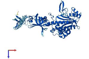 AlphaFold protein structure predicition of Human Recombinant NARS1 Protein, UniprotID O43776
