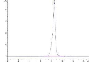 The purity of Cynomolgus CD19 is greater than 95 % as determined by SEC-HPLC.