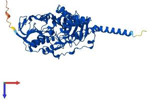 AlphaFold protein structure predicition of Mouse Recombinant Maoa Protein, UniprotID Q64133