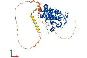 AlphaFold protein structure predicition of Human Recombinant CSNK1E Protein, UniprotID P49674