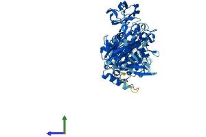 AlphaFold protein structure predicition of Human Recombinant TGM4 Protein, UniprotID P49221