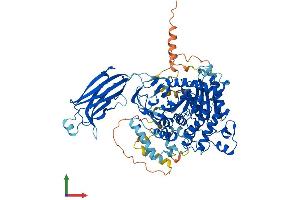 AlphaFold protein structure predicition of Human Recombinant PLA2G4A Protein, UniprotID P47712