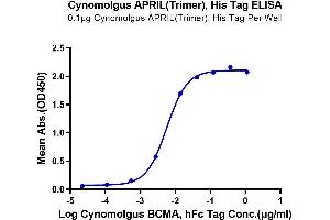 Immobilized Cynomolgus APRIL(Trimer), His Tag at 1 μg/mL (100 μL/well) on the plate.