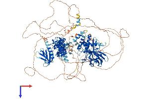 AlphaFold protein structure predicition of Human Recombinant PTPN21 Protein, UniprotID Q16825