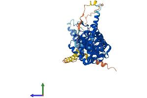 AlphaFold protein structure predicition of Mouse Recombinant Ppp2r5c Protein, UniprotID Q60996
