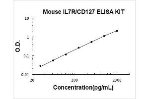 Interleukin 7 Receptor (IL7R) ELISA Kit