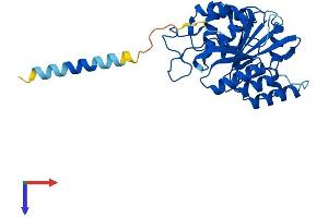 AlphaFold protein structure predicition of Human Recombinant B3GALT5 Protein, UniprotID Q9Y2C3