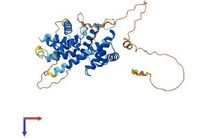 AlphaFold protein structure predicition of Human Recombinant CCNI Protein, UniprotID Q14094